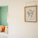Casa Rosas